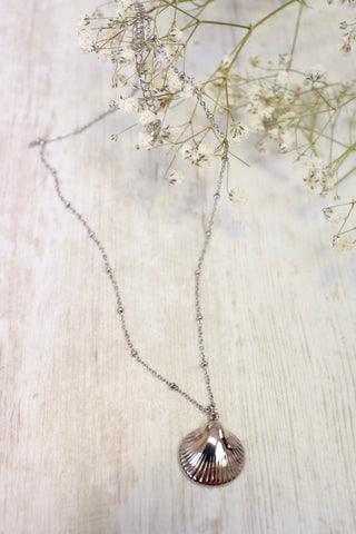 Clam shell necklace (Silver)