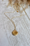 Clam shell necklace (Gold)